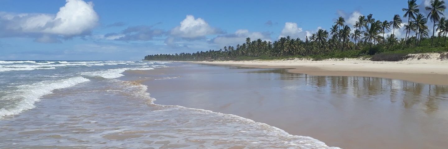 ToDiBolha's profile banner image