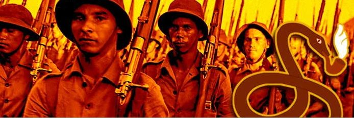 FEB - Força Expedicionária Brasileira banner