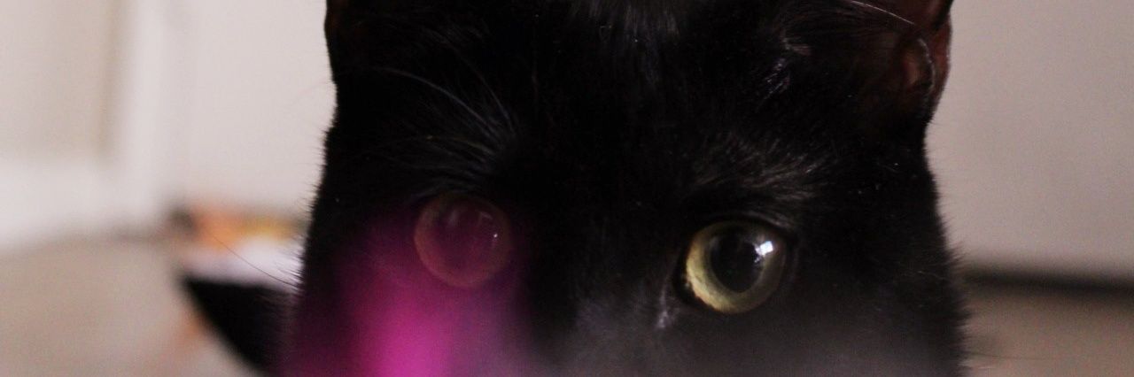 p_diddlles's profile banner image