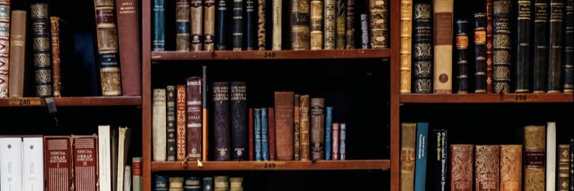 TEDDY HAMILTON banner