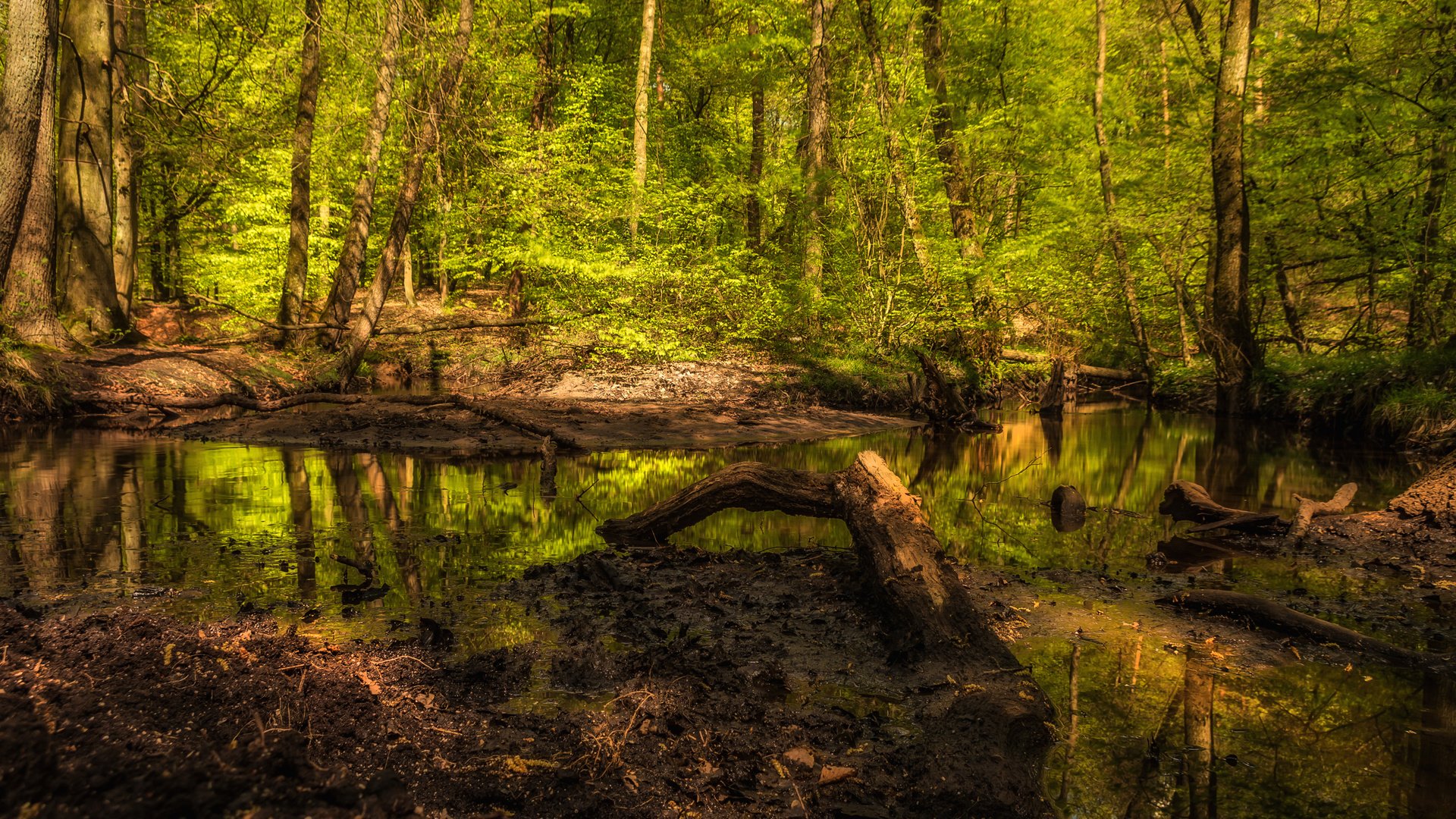 Руна (Ирина) banner