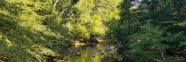 larawadi1 Profile Banner