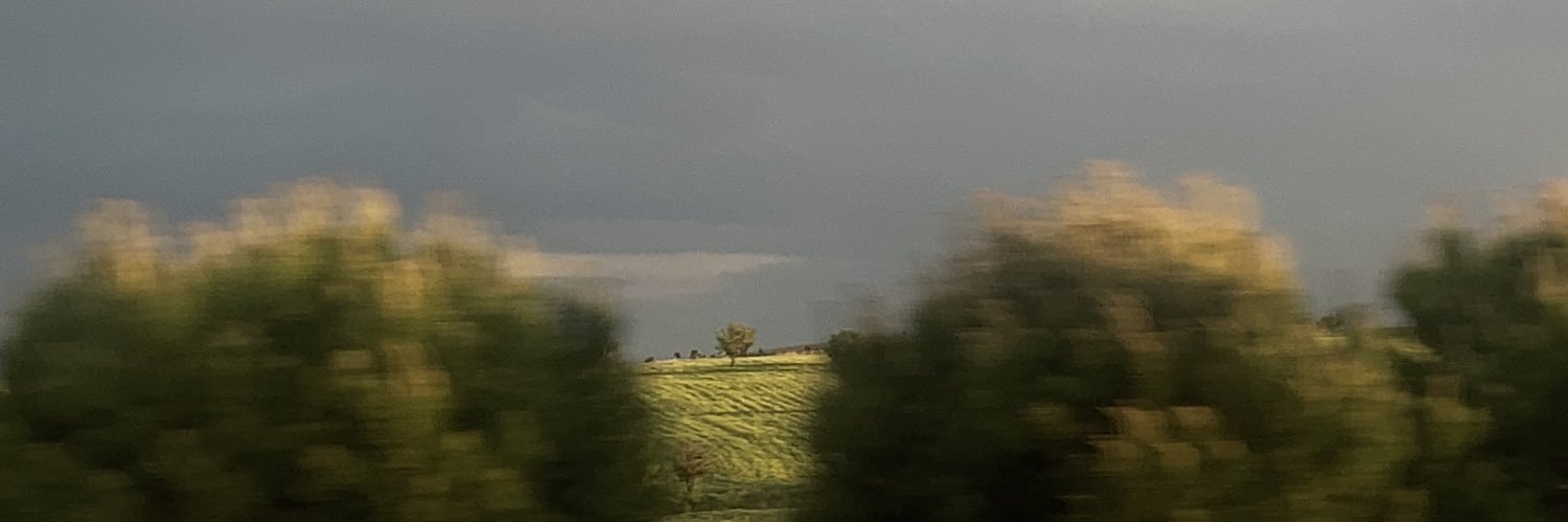 maselsen's profile banner image