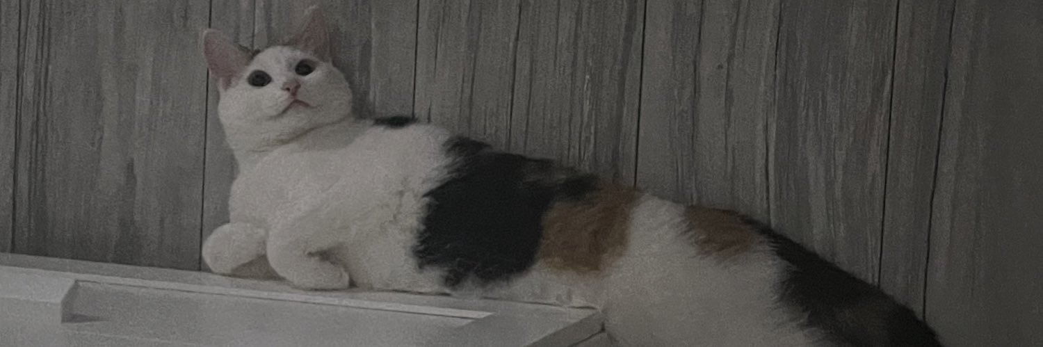XwronkQ's profile banner image