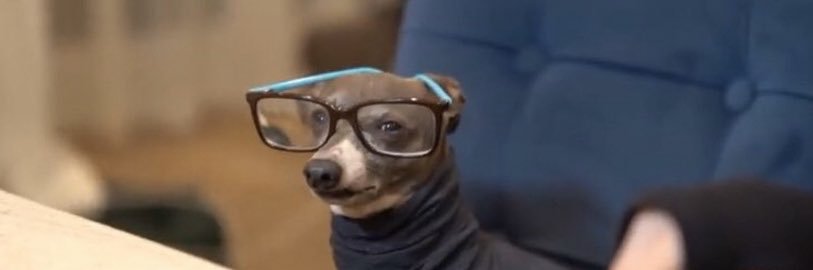 samepicofkermit's profile banner image