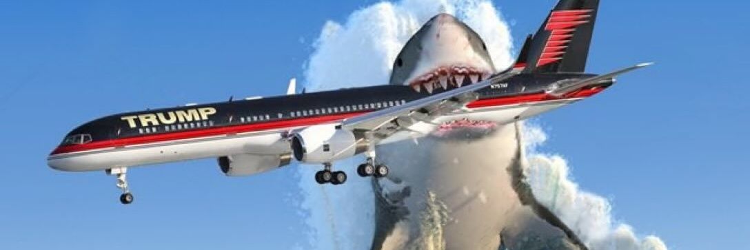 ReggaeShark🦈☮🎸🎶🌻⚾🟧🐾 banner