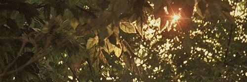SadGirlToy's profile banner image