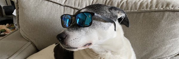 chuckmeat1 Profile Banner