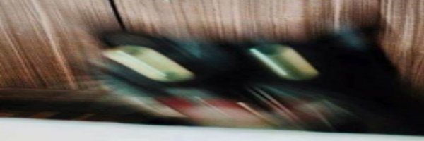 binpostsstuff Profile Banner