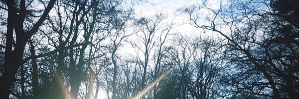 janeinator Profile Banner