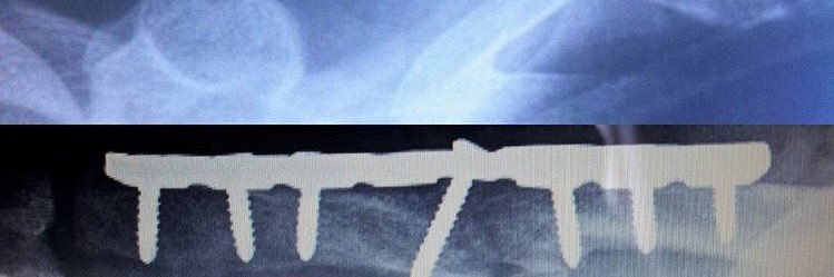 Marco Quezada banner