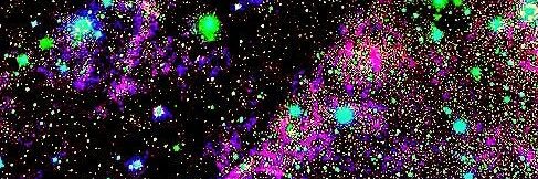 llmelchior's profile banner image