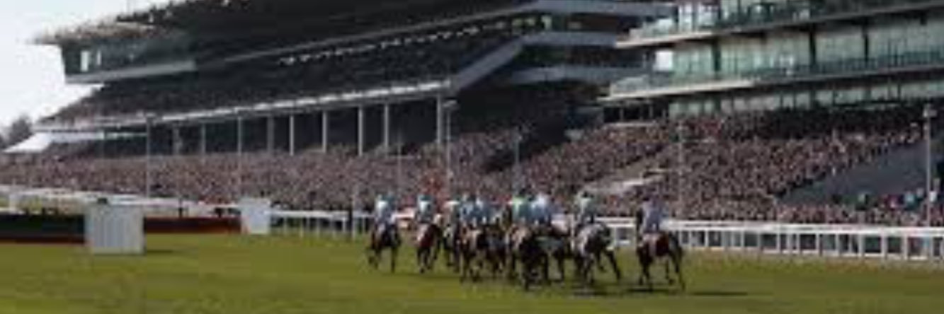 insidepunting's profile banner image