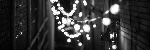 🍃 banner