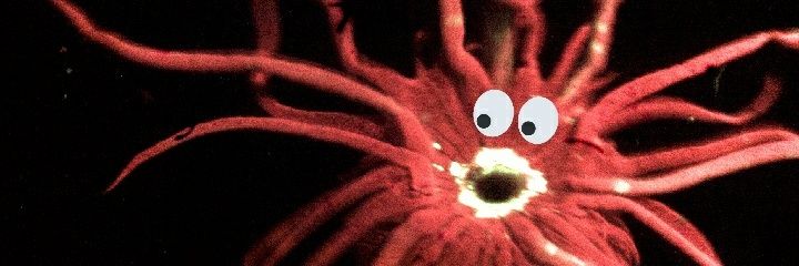 LA_Romanovich's profile banner image