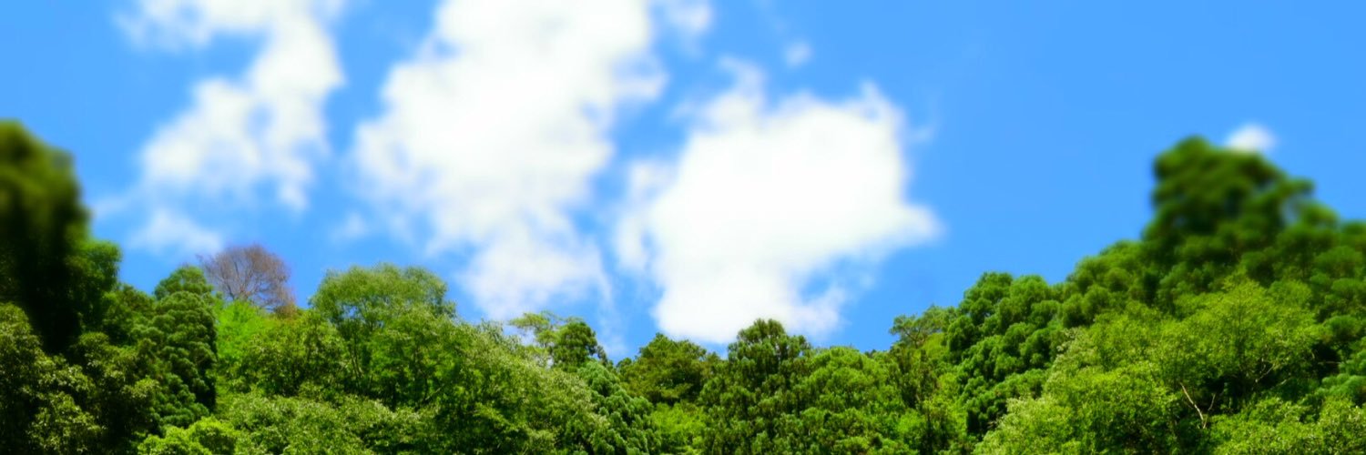 yosirin1995's profile banner image
