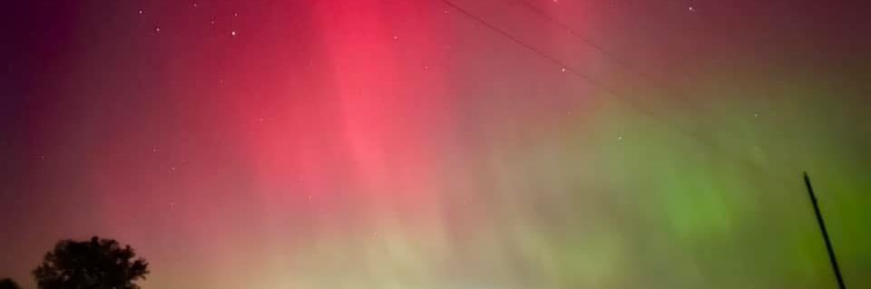 Shutterbug1172 banner