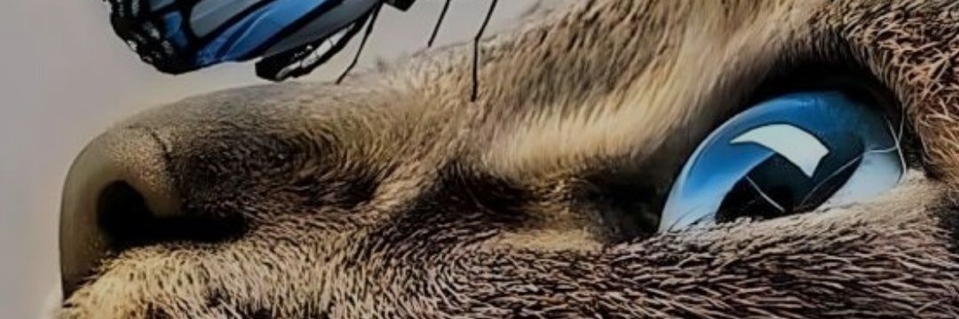 nsevmis65's profile banner image