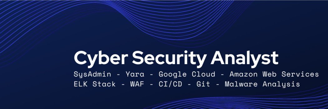 Sal Aguilar // WPSecurityAnalyzer.com banner