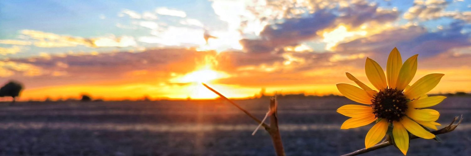 Olmavilo's profile banner image