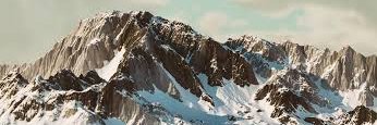 LD.. banner