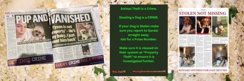 Lisa O' Connor (Animal Advocate) banner