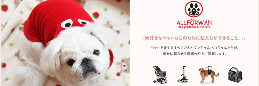 ALLFORWAN's profile banner image