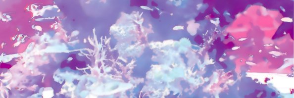 tbrizm's profile banner image
