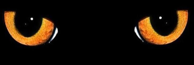 abdullah__a97's profile banner image
