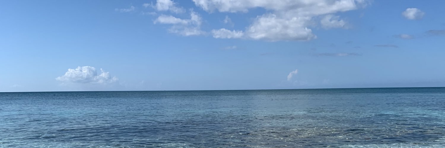 MaddMaxMill's profile banner image