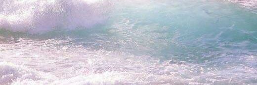 Mint99751015's profile banner image