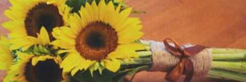 LUHAWR's profile banner image