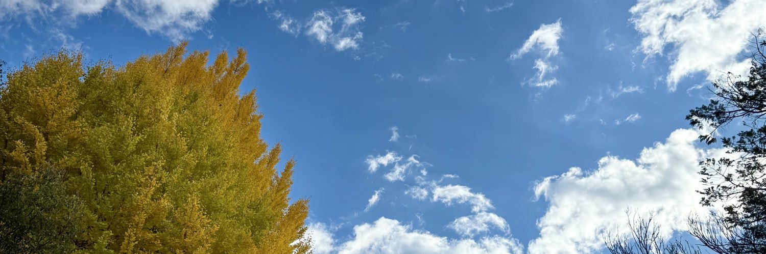 REJ_KZ's profile banner image