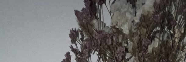 ka banner