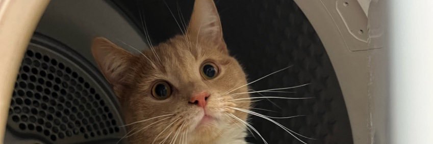chloeawarren's profile banner image