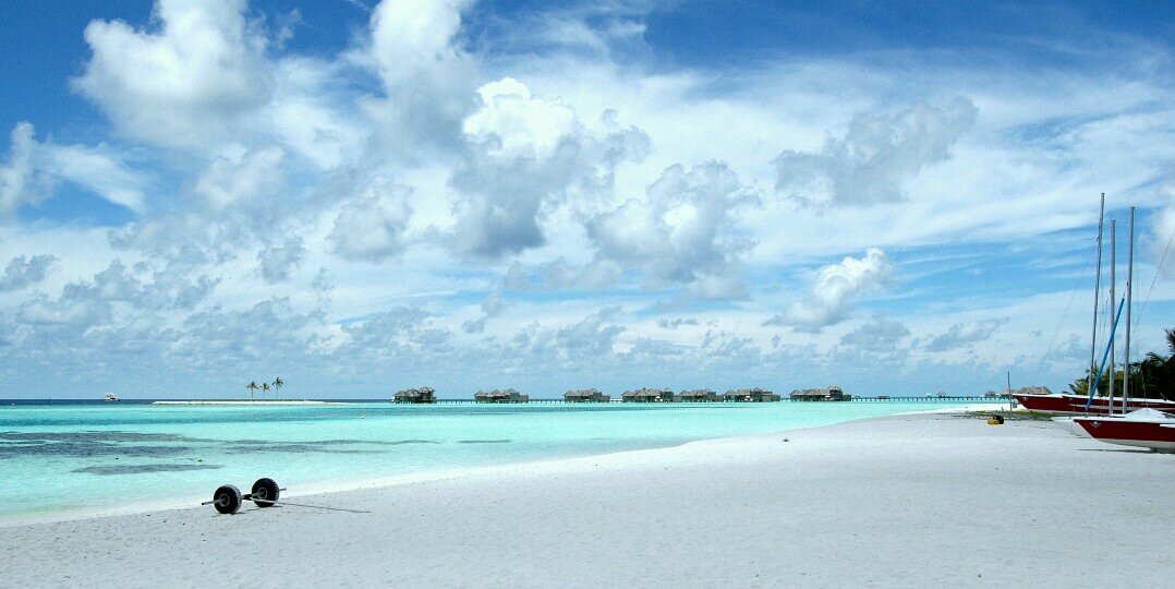 in0905's profile banner image