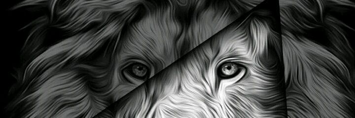 Hateem .12 banner