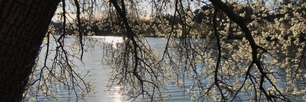 bencollins Profile Banner