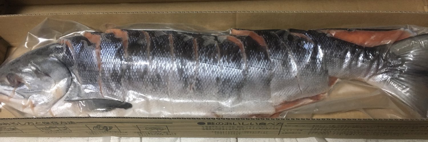 天空オリーブ🧫 banner