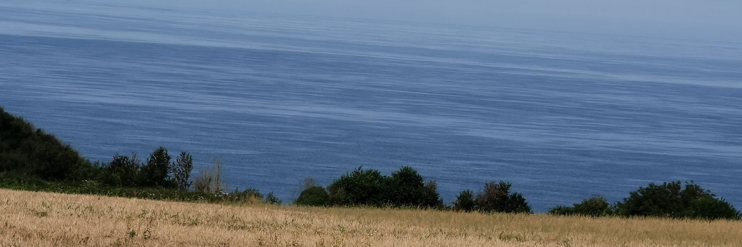 Mrs Busy banner