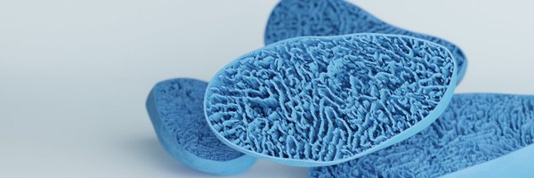 ariadne_ai Profile Banner