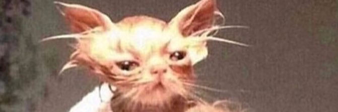 tynicexxx's profile banner image