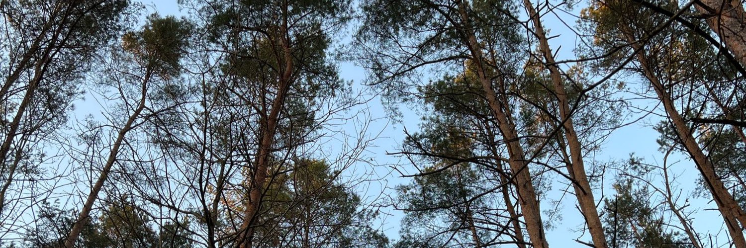 Kevi/看護師🧠🇯🇵🇱🇹🇩🇰 banner