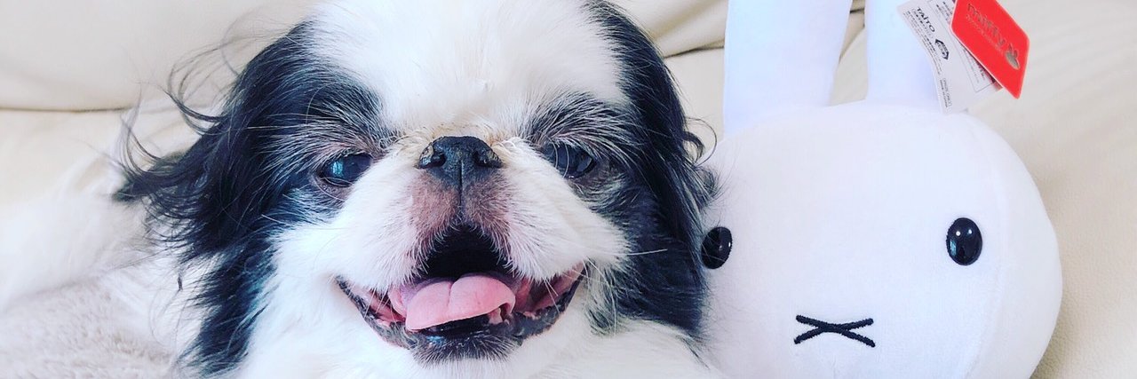 マコシロー banner