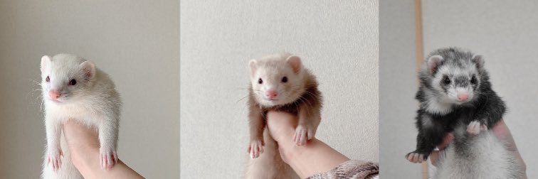 ナノ🐁's banner
