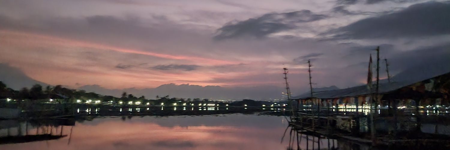 nsfzh's profile banner image