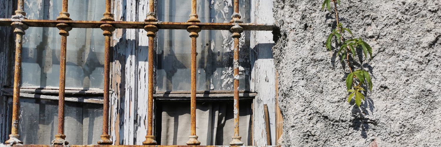 Samantha Colombo banner