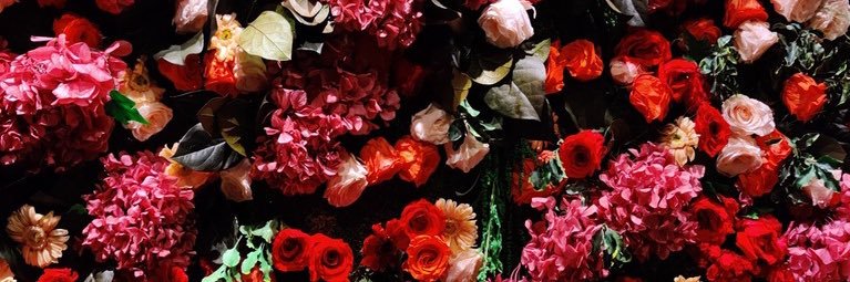 Archana (she/her) banner