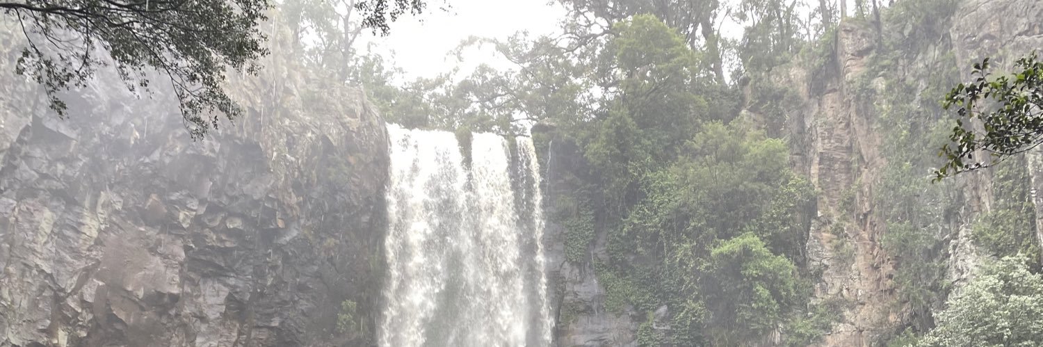 my pee fantasy banner