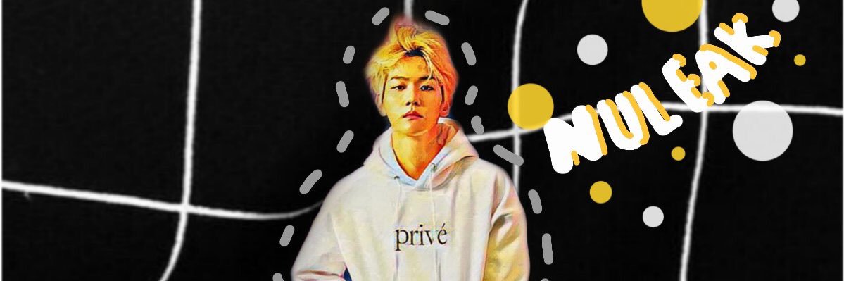 𝒏𝒖𝒍𝒆𝒂𝒌(𝒏.) banner